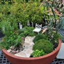 미니정원 이미지