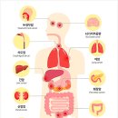 중입자 암치료 비용부터 치료 가능한 병원까지, 실속형 완벽 가이드