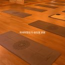 드림요가 | [인천 송도 요가]_랏쉬미핫요가/14년 전통! 땀이 저절로 나는 체계적이고 개운한 요가 수업 후기👍