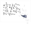 비둘기-캘리그라피,글자일러스트 이미지