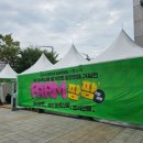 2024 대한민국 농업박람회 다녀온 따끈따끈후기 나들이로딱