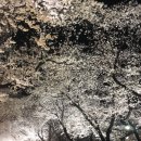 불국사미장원 이미지