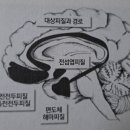 도대상회