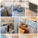 진주강아지분양 고양이분양 미유펫 이미지