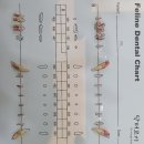 닥터코기동물병원 이미지