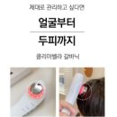 뷰티펫# 이미지