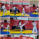 경희대MTA태권도장 이미지