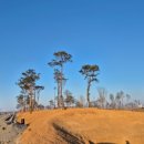 드림아일랜드골프장 이미지