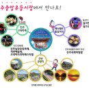 유등의꿈