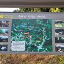 축령산 산소길(4구간) 이미지