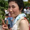 장유경 무용단 이미지