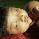 준모농장 이미지