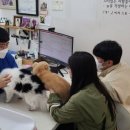 은천동-26 이미지