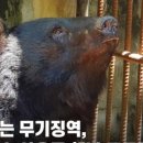 조성수농장 이미지