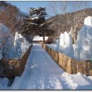 여주-0141 Daum카페