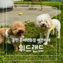 바닐라 애견샵 | 동탄 애견카페 위드랜드 │ 롯데백화점 7층 강아지 운동장 후기