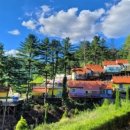 산속정원캠핑장 이미지