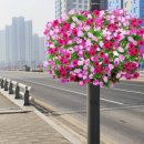 청라대로(공촌3교) 이미지