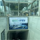 포도나무애드
