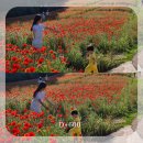 [d+600] 영유아검진 잘하는 곳 - 마일스톤소아과 강추, 재접근기 지옥, 두 돌 전후 전집/활동