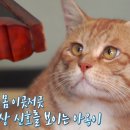 영리경로당 이미지