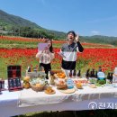 북천꽃단지 이미지