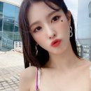 아마도 이미지