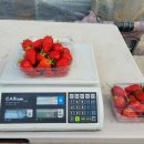 에덴농장2 이미지