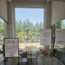 보사노바 | 속초해수욕장 바로앞 주차가능 베이커리카페 보사노바 내돈내산후기