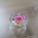 잔누르미 네이버블로그