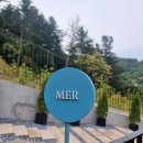 가평 풀빌라애견펜션 빌라드루이 방문후기 #1