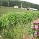 국도산업 이미지