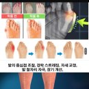 디소마 - 화성시 삼봉길 1-14 | 디소마