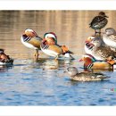 청도천4 이미지