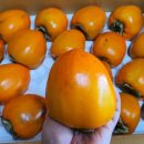 순박2농장 이미지