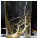 증산-017 이미지