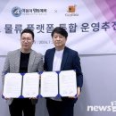 야옹아 멍멍해봐 네이버블로그