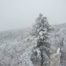 제이투어 - 미추홀구 매소홀로 262 | 제이투어