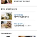 로얄홀스솔루션 | [공지] [활동정보] 서포터즈 / 체험단 이력(2018.07.02 Update.)