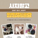 닥터파인드 이미지