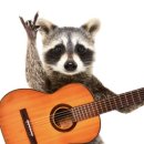 축제노래방 이미지