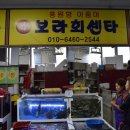 보라회센타