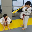 리틀태권도장 이미지