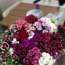 (주)이꼬르 이미지