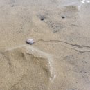 몽산포주차장 이미지