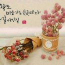꽃들에게