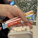 집사의하루 남포점 | 부산 당일치기 갈만한곳 남포동 유기묘 고양이 카페 집사의하루