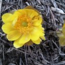 포에버팬션 이미지