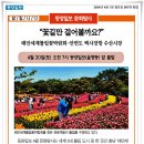 동양일보 문화탐사-(태안세계튤립꽃박람회-안면도 백사장항 수산시장) 이미지