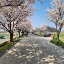 무한천체육공원 주차장 이미지